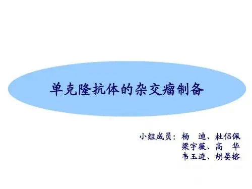 杂交瘤技术制备单克隆抗体 2