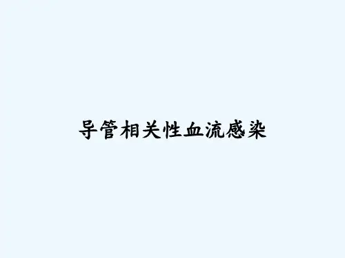 导管相关性血流感染