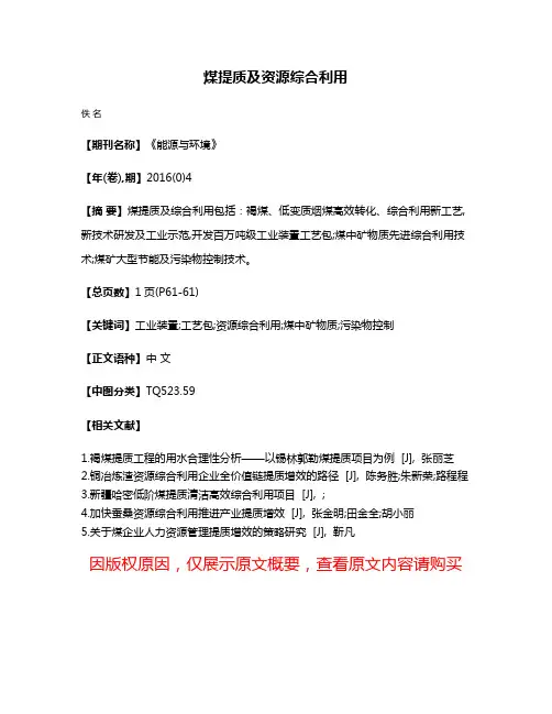 煤提质及资源综合利用