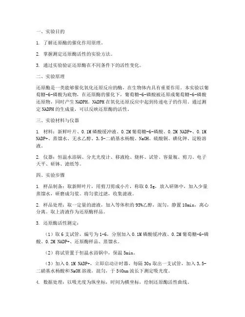 还原酶实验报告