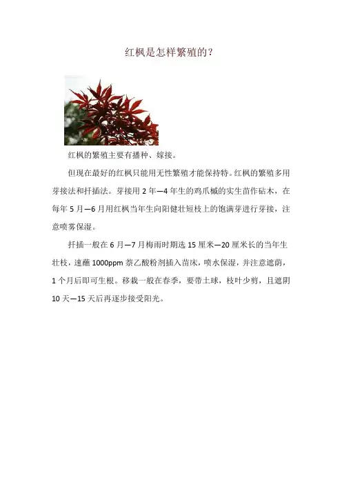 红枫是怎样繁殖的？
