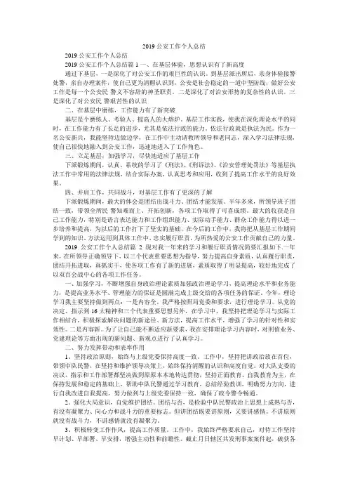 2019公安工作个人总结