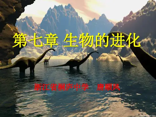 高中生物的进化课件二 旧人教 必修2