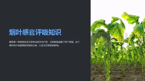 《烟叶感官评吸知识》课件