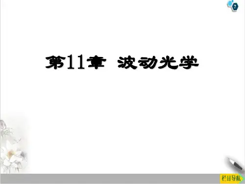 高二物理竞赛波动光学PPT(课件)