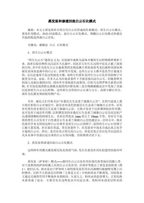 蒸发泵和渗透回流白云石化模式