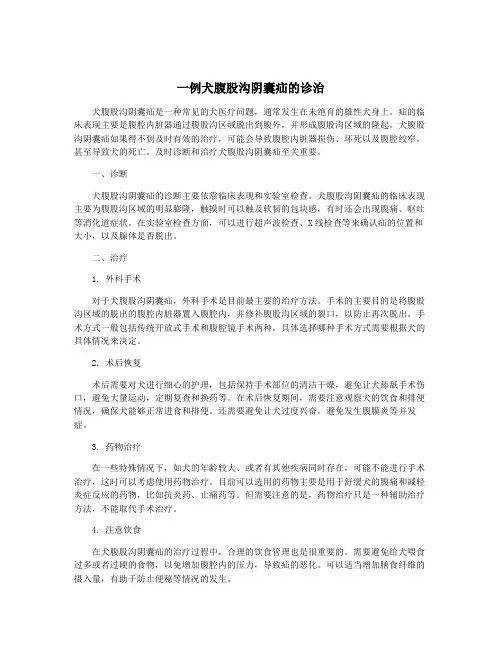 一例犬腹股沟阴囊疝的诊治