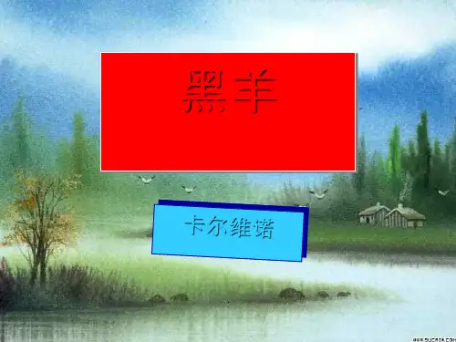 《黑羊》PPT课件
