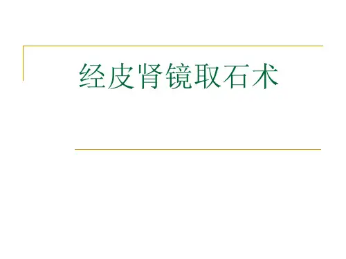 最新经皮肾镜技术
