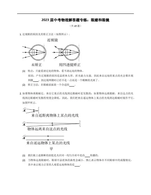 2023届中考物理解答题专练：眼睛和眼镜(含解析)