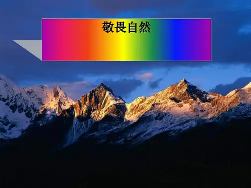 八年级语文下册 《敬畏自然》课件 人教新课标版全套PPT