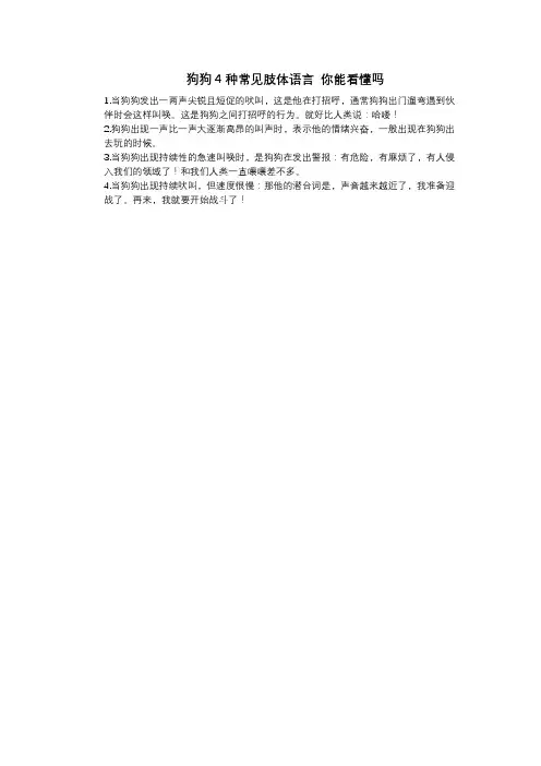 狗狗4种常见肢体语言 你能看懂吗