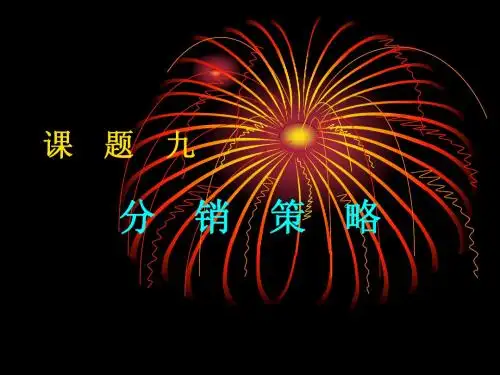 课题九.分销策略ppt