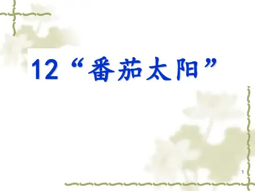 12番茄太阳PPT课件