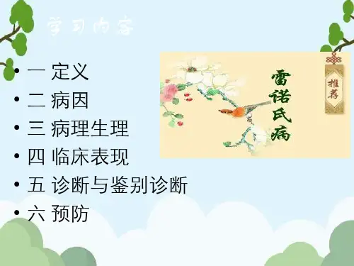 雷诺氏病课件