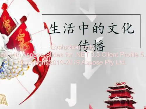 生活中的文化传播、现代社会的大众传媒-PPT课件