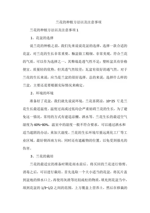 兰花养殖方法和注意事项