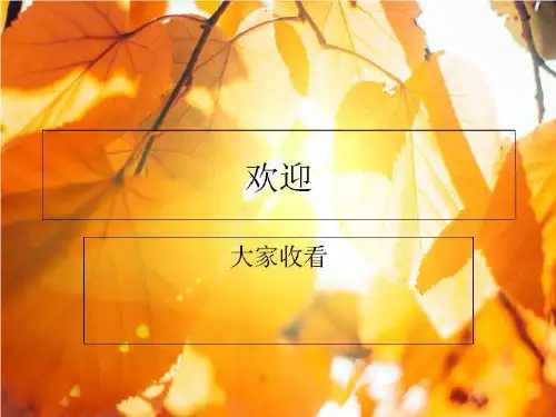 第二章创新概念的辨析