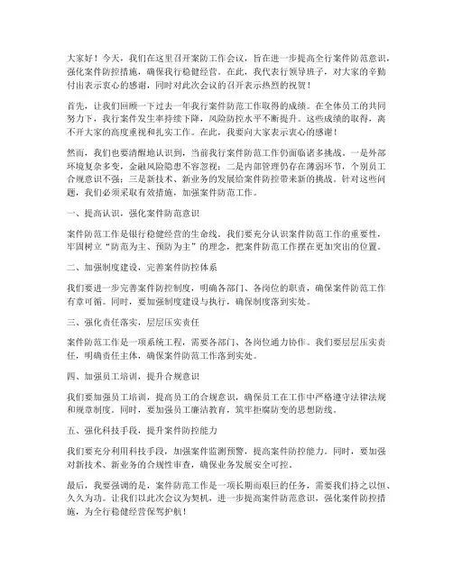 案防工作会议领导发言稿