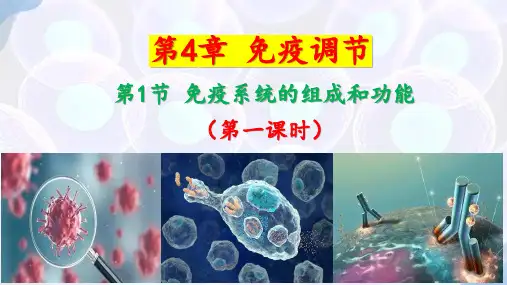 免疫系统的组成和功能(第一课时)