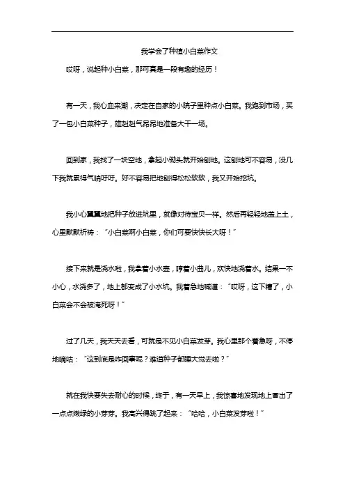 我学会了种植小白菜作文