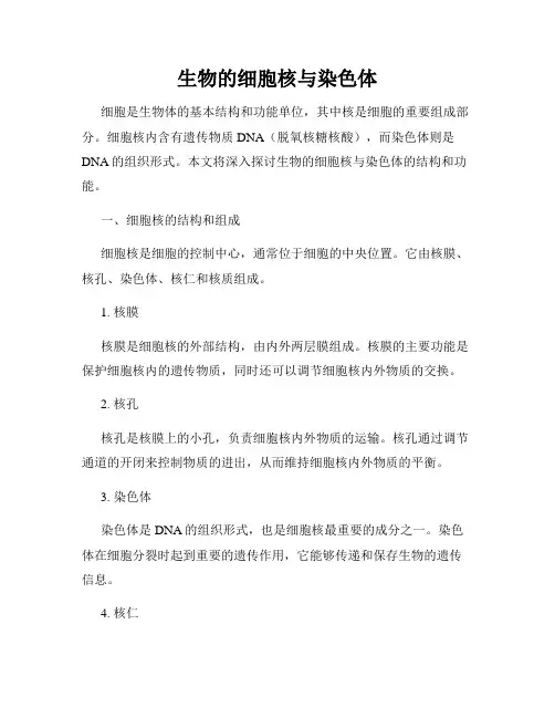 生物的细胞核与染色体