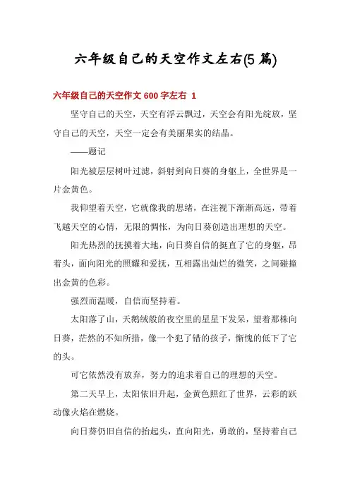 六年级自己的天空作文左右(5篇)