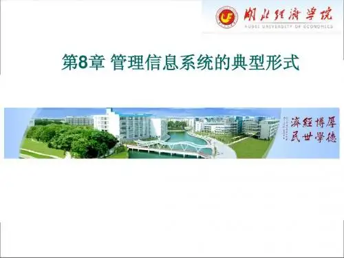 第8章 管理信息系统的典型形式