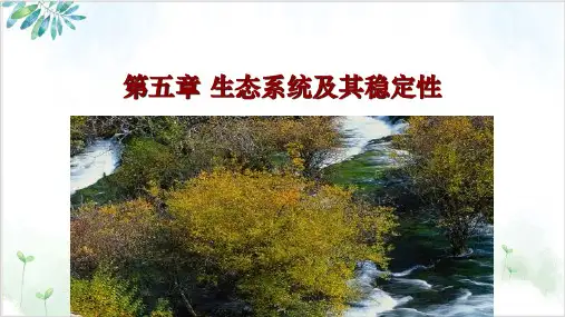 人教版高中生物必修三生态系统的结构(13张)-PPT优秀课件