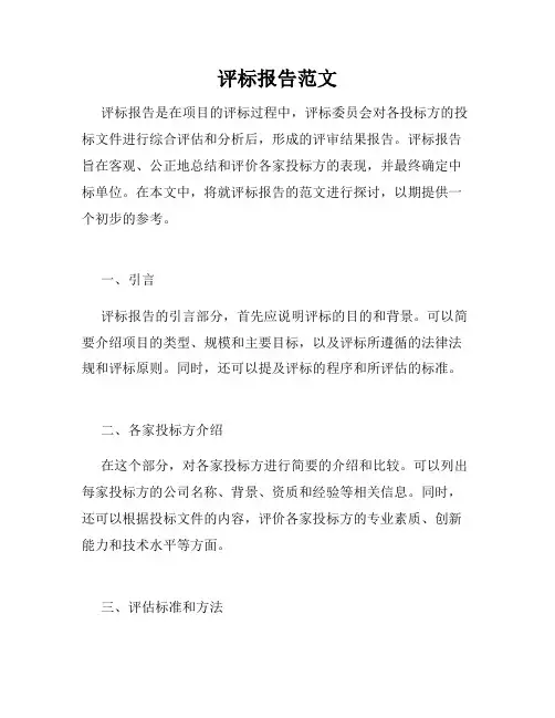 评标报告范文