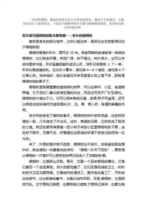 散文：有关描写梧桐树的散文随笔