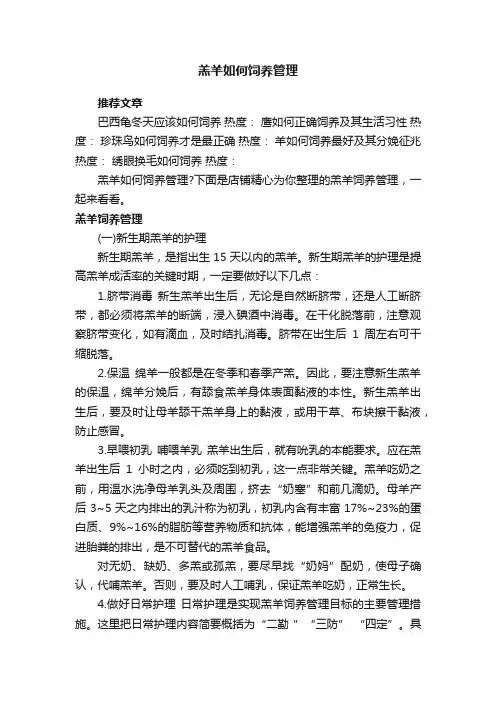 羔羊如何饲养管理