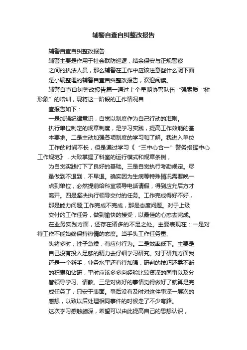 辅警自查自纠整改报告