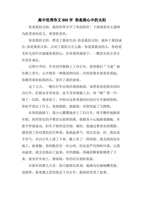 高中优秀作文800字 你是我心中的太阳