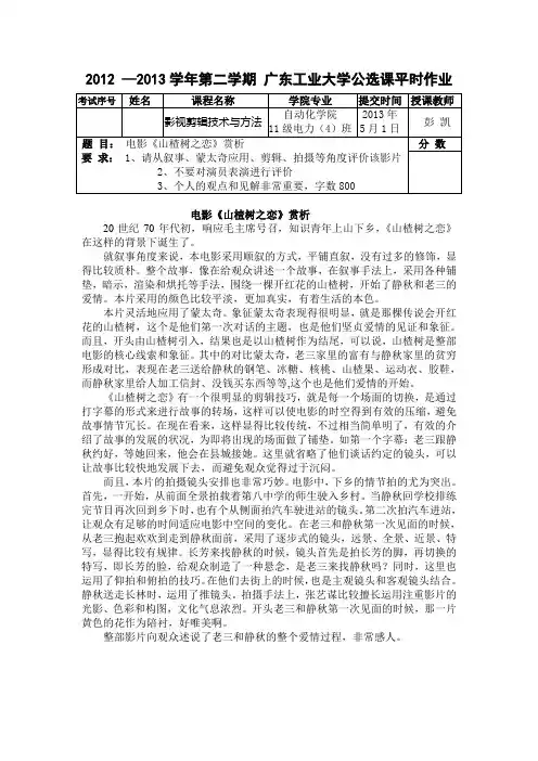 《山楂树之恋》赏析-影视剪辑作业