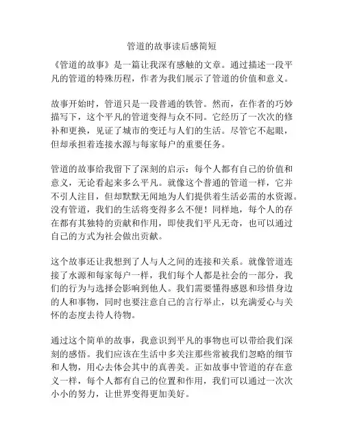 管道的故事读后感简短