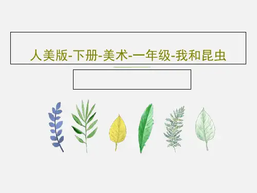 人美版-下册-美术-一年级-我和昆虫36页PPT