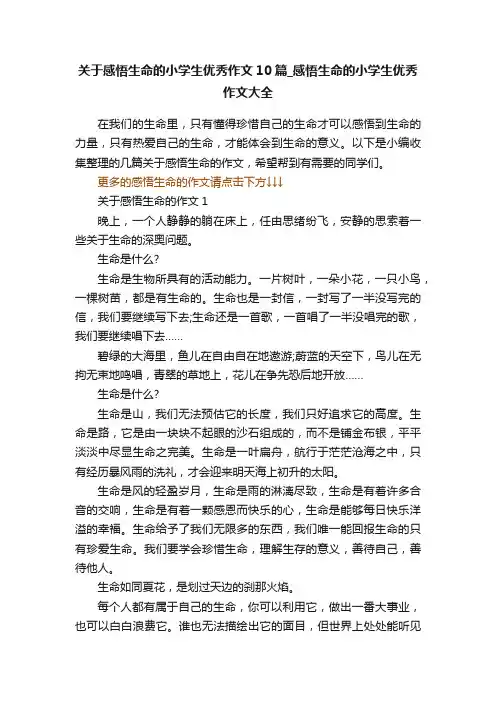 关于感悟生命的小学生优秀作文10篇_感悟生命的小学生优秀作文大全