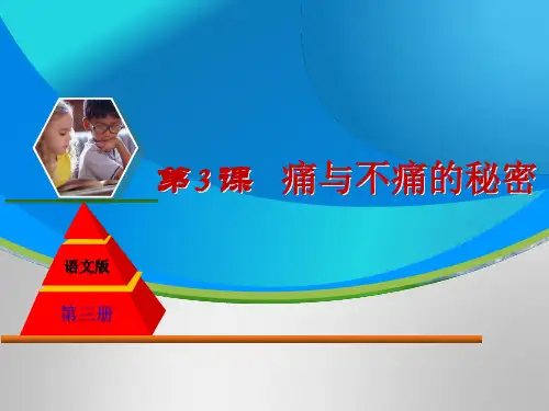高中语文痛与不痛的秘密ppt 语文版精品课件