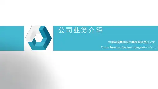 中国电信系统集成公司_全业务的介绍(2017年)