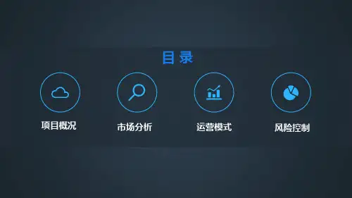 养老院项目分析ppt课件
