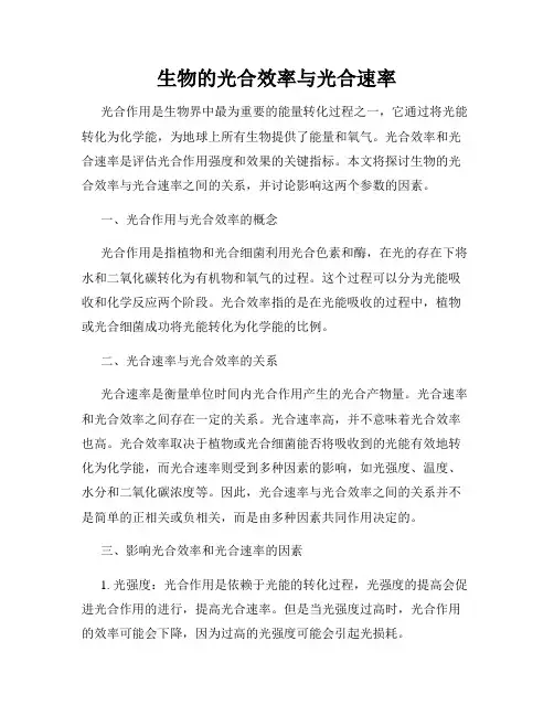 生物的光合效率与光合速率
