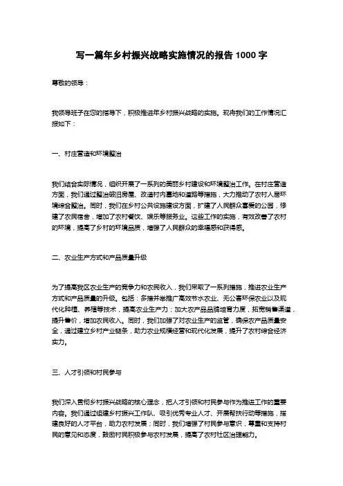 2023年乡村振兴战略实施情况的报告