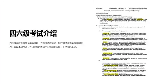 四六级考试介绍