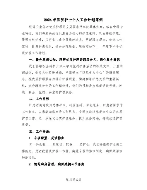2024年医院护士个人工作计划范例(五篇)