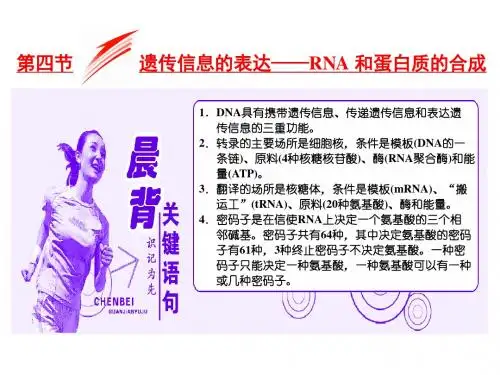 高中生物(浙江专版)必修2同步课件：遗传信息的表达——RNA和蛋白质的合成