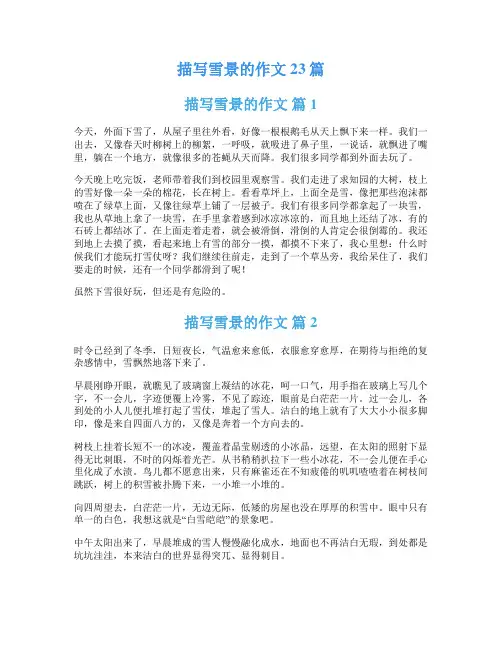 描写雪景的作文23篇