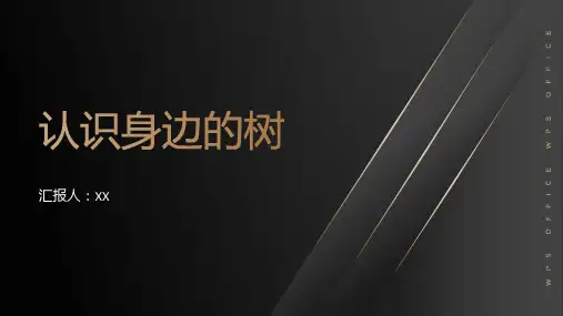 第03课--认识身边的树