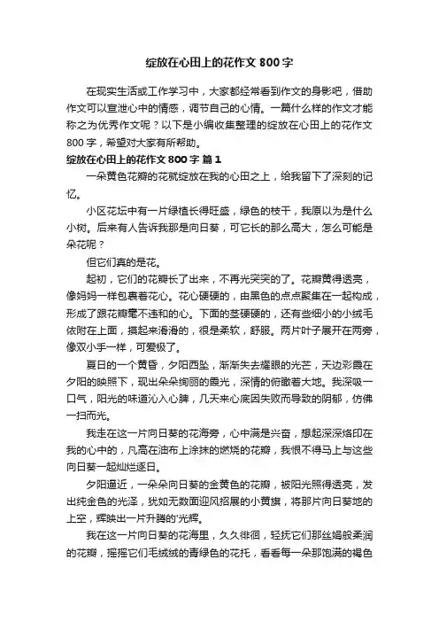 绽放在心田上的花作文800字（通用36篇）