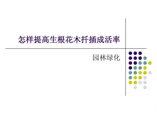 怎样提高生根花木扦插成活率